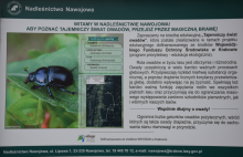 NOWA ŚCIEŻKA EDUKACYJNA PN: „TAJEMNICZY ŚWIAT OWADÓW”